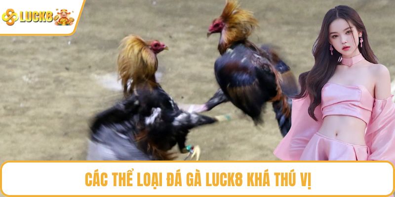 Các thể loại đá gà LUCK8 khá thú vị