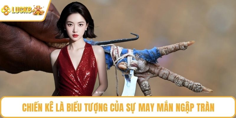 Chiến kê là biểu tượng của sự may mắn ngập tr
