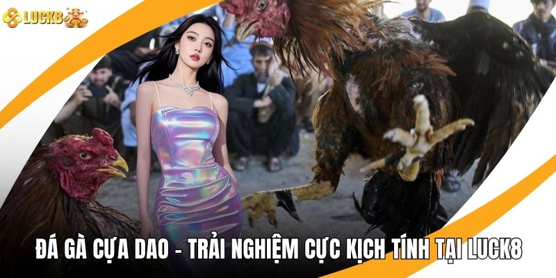 Đá Gà Cựa Dao