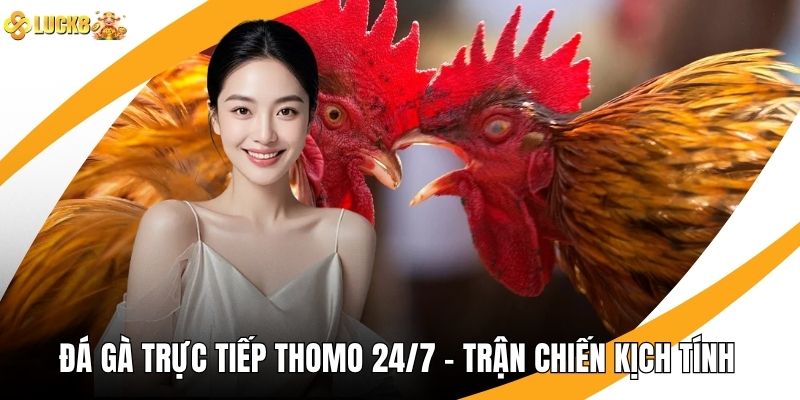 Đá Gà Trực Tiếp Thomo 24/7