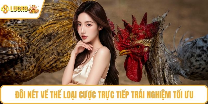 Đôi nét về thể loại cược trực tiếp trải nghiệm tối ưu
