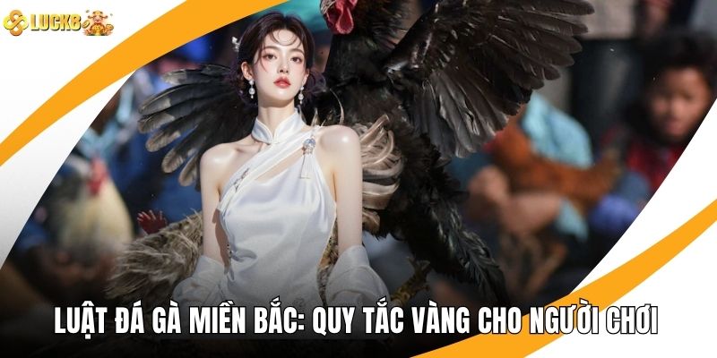 Luật Đá Gà Miền Bắc