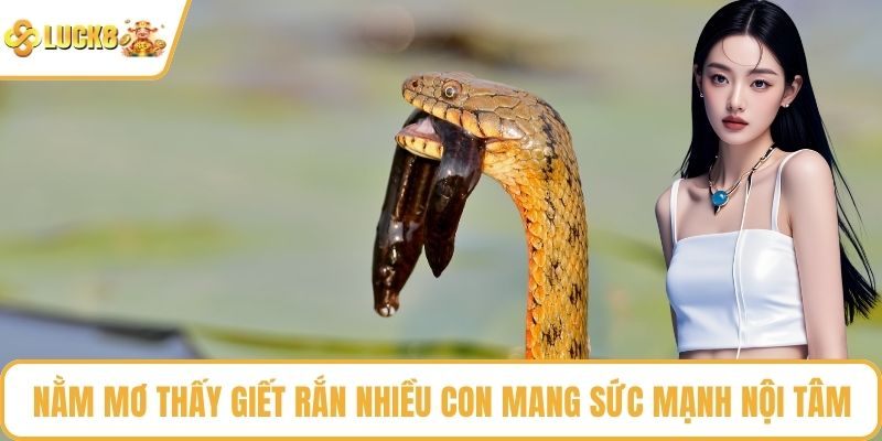 Nằm mơ thấy giết rắn nhiều con mang sức mạnh nội tâm