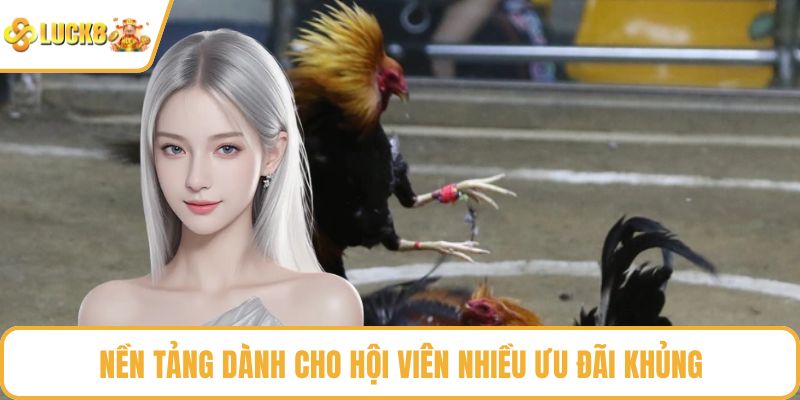 Nền tảng dành cho hội viên nhiều ưu đãi khủng