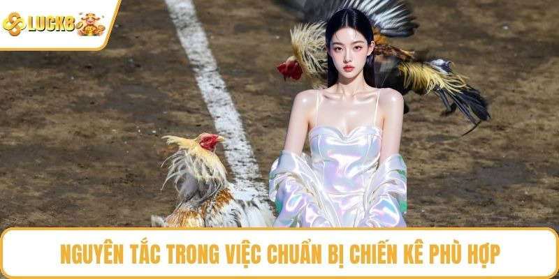 Nguyên tắc trong việc chuẩn bị chiến kê phù hợp