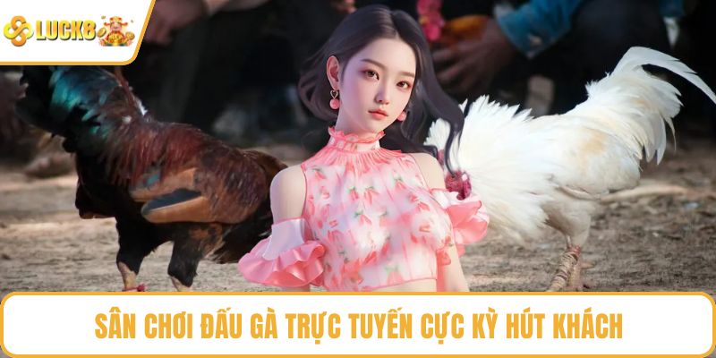 Sân chơi đấu gà trực tuyến cực kỳ hút khách