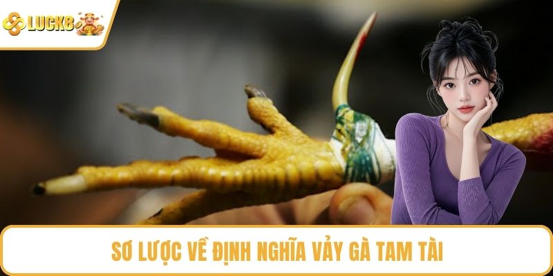 Sơ lược về định nghĩa vảy gà tam tài