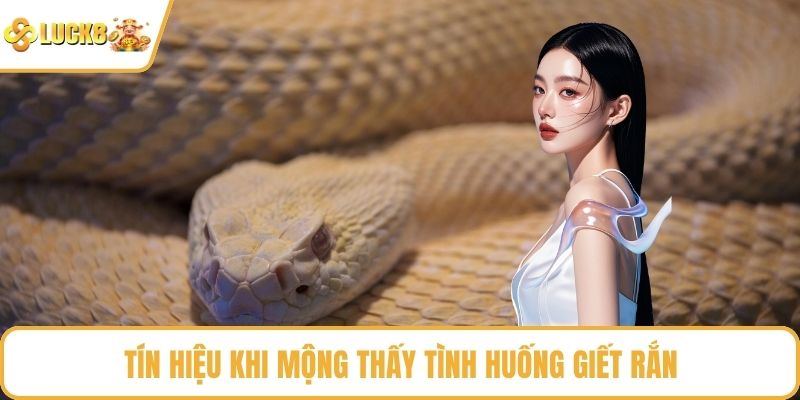 Tín hiệu khi mộng thấy tình huống giết rắn